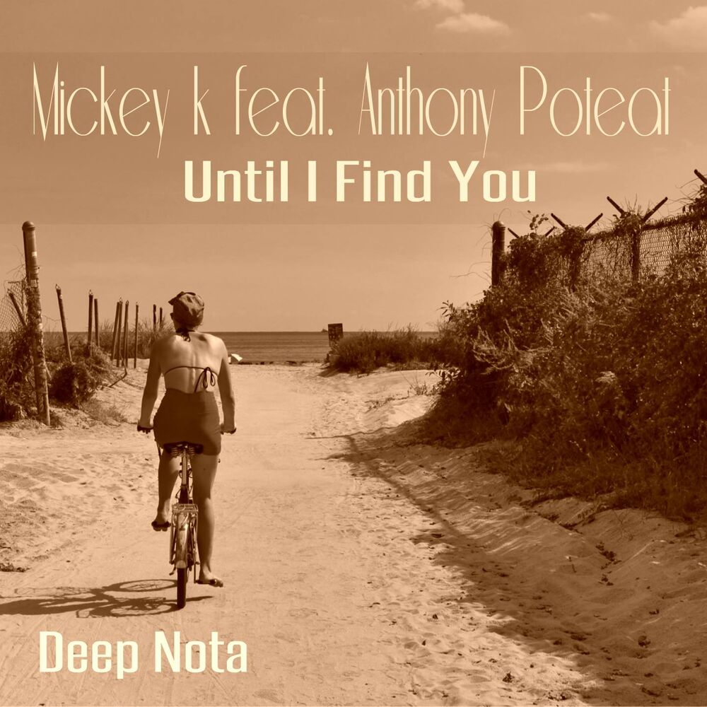 Picture of Until I Find You