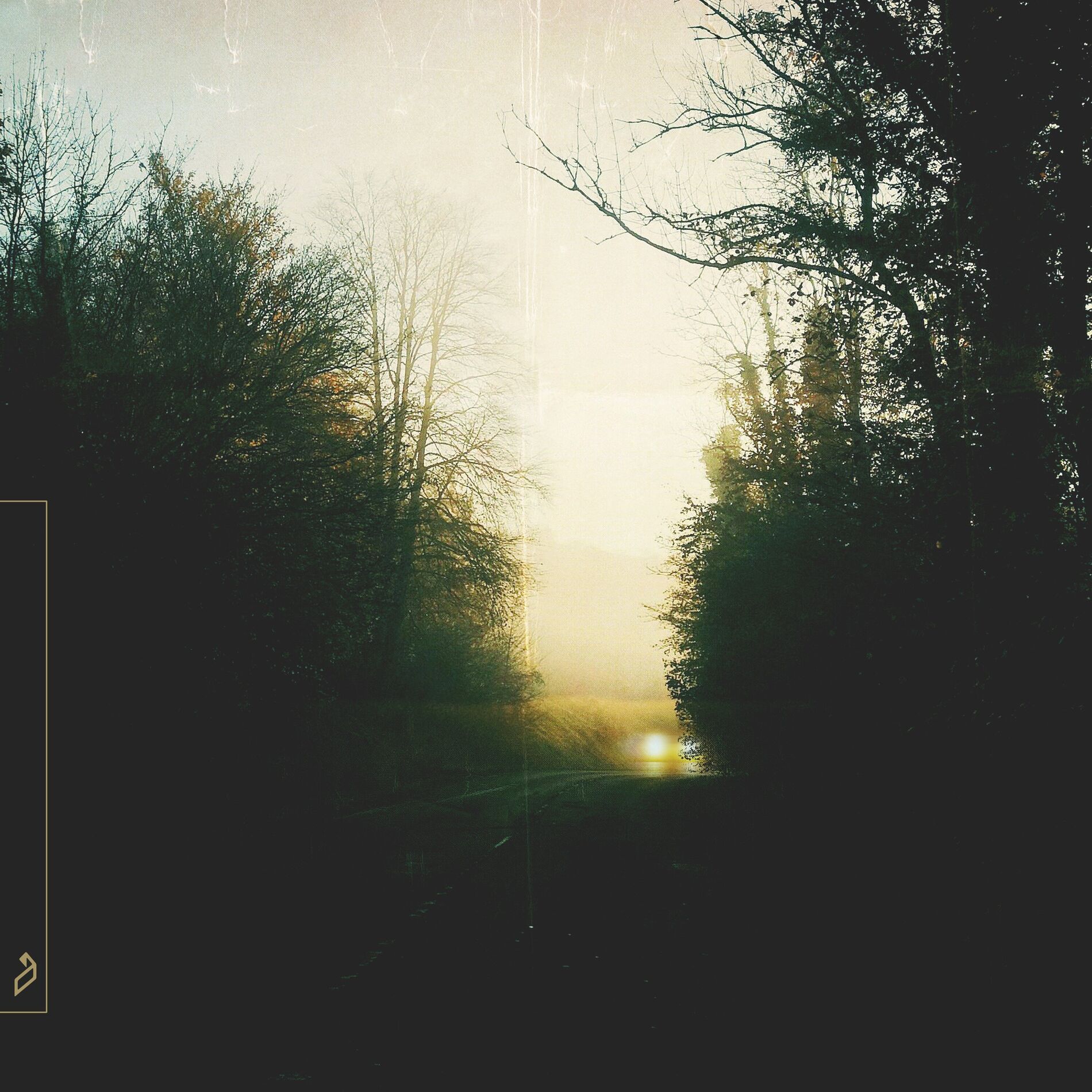 Album cover of Floodlights