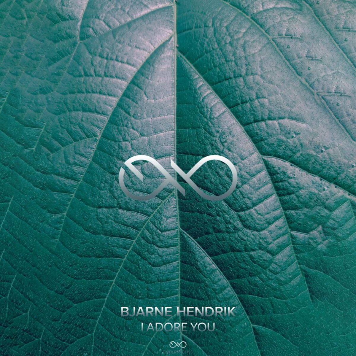 Album cover of I Adore You