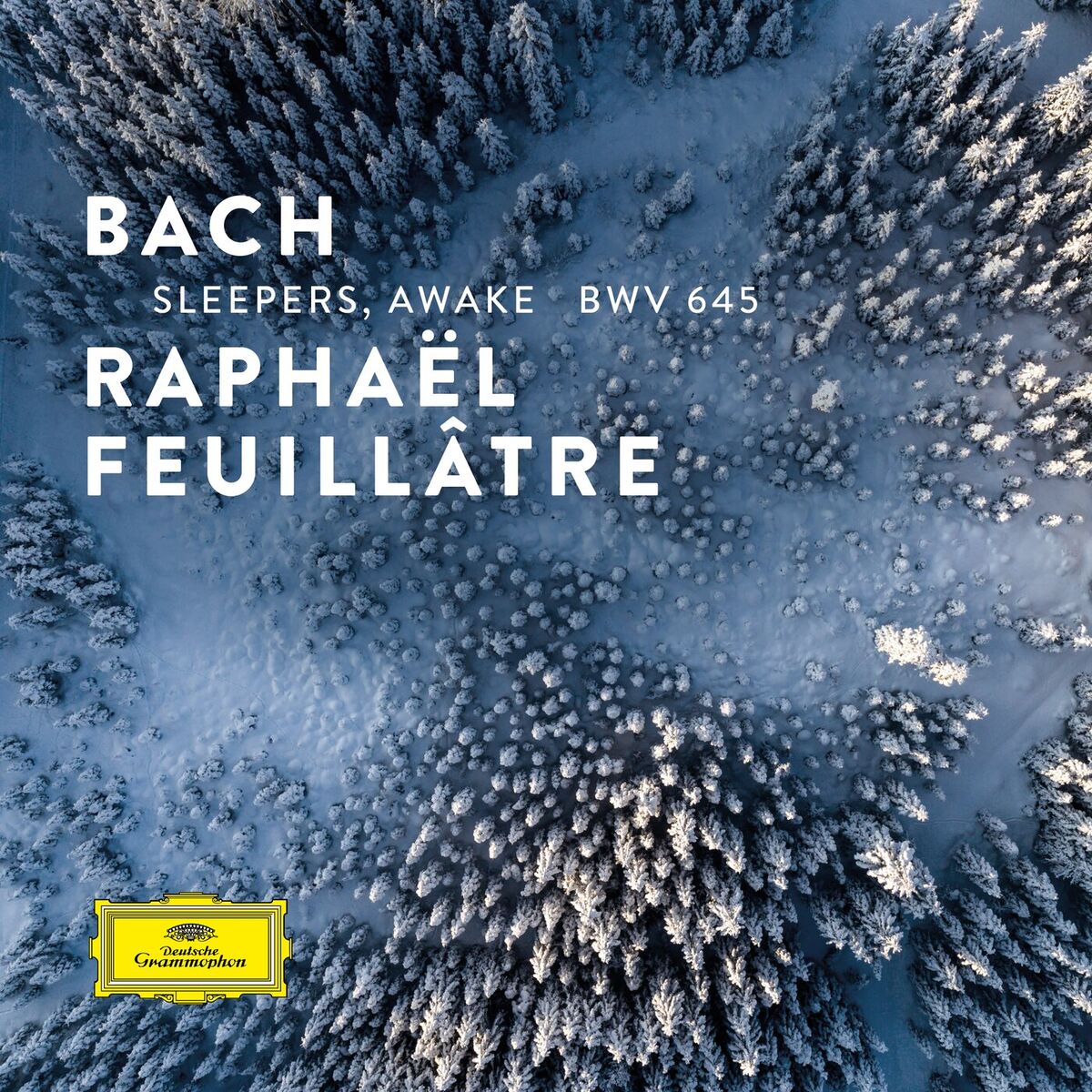 Album cover of J.S. Bach: Sleepers, Awake, BWV 645 (Transcr. for Guitar)