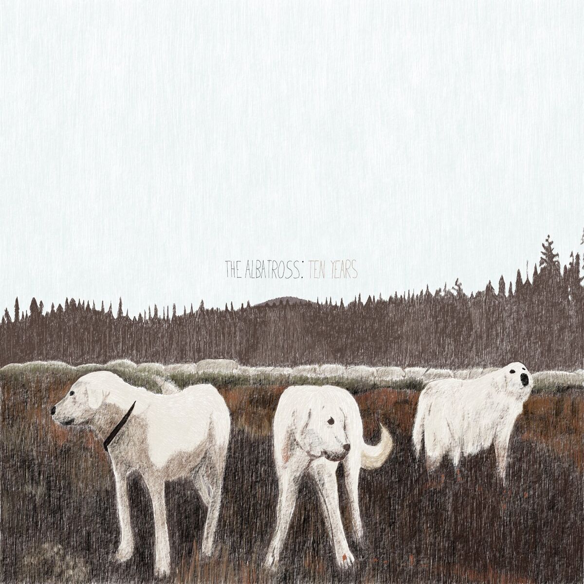 Album cover of The Albatross: Ten Years