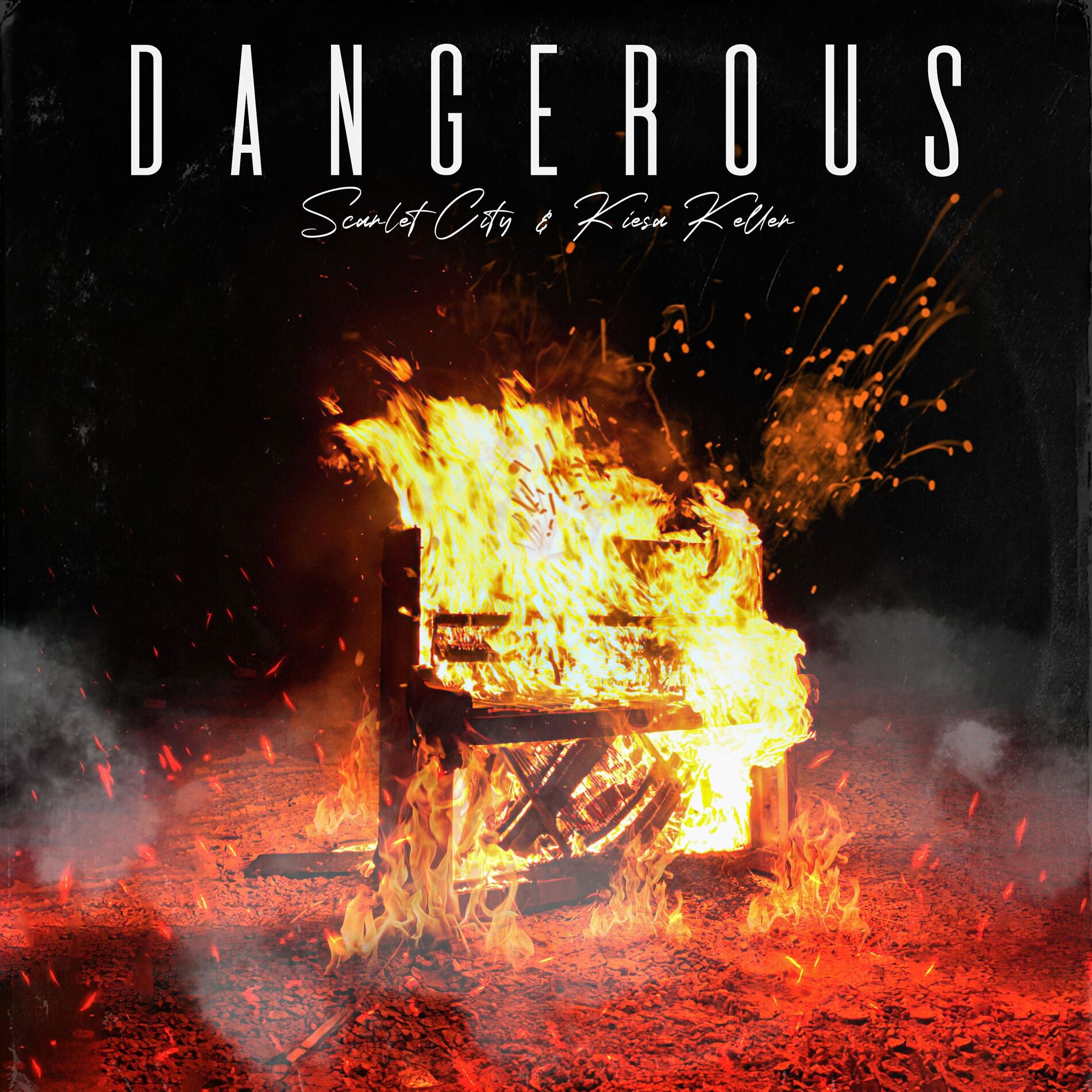 Album cover of Danger-us