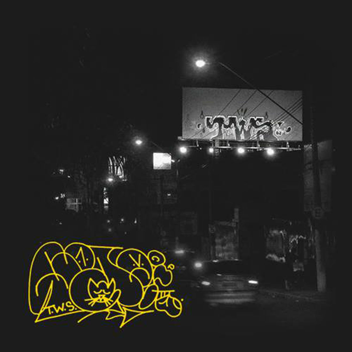 Album cover of T. W. S