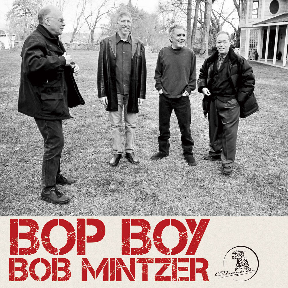 Picture of Bop Boy