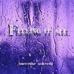 Cover of Feeling It All