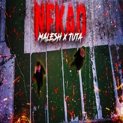 Cover of Nekad