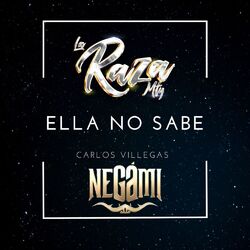 Cover of Ella No Sabe