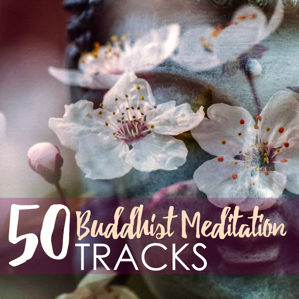 Picture of 50 Buddhist Meditation Tracks - Mindful Meditations Music, Zen Sounds of Nature & Buddha Songs