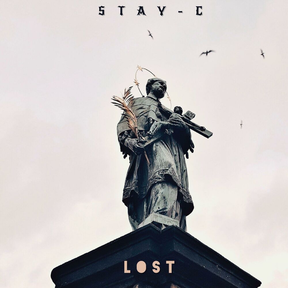 Picture of Lost