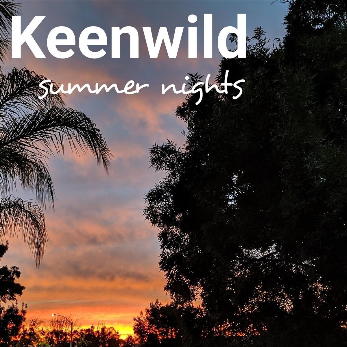 Album cover of Summer Nights