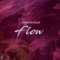 Cover of Flow