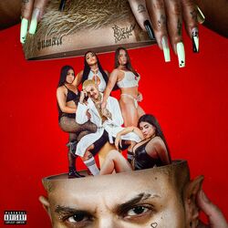 Cover of Tudo Normal