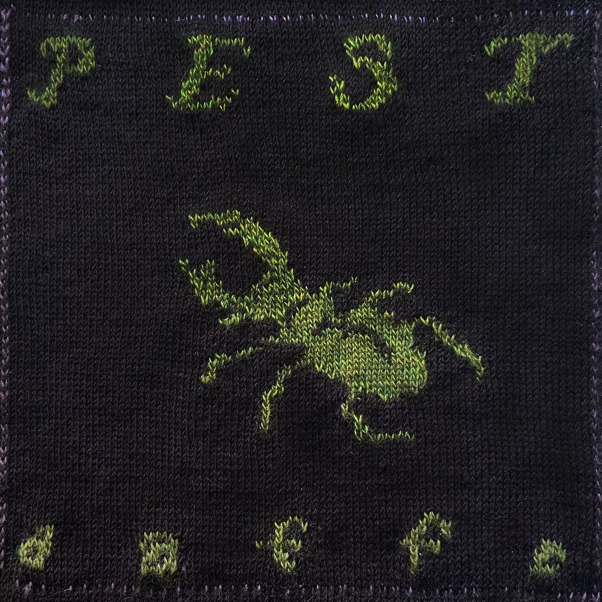 Album cover of Pest