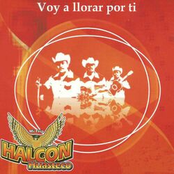 Cover of Voy a Llorar Por Ti
