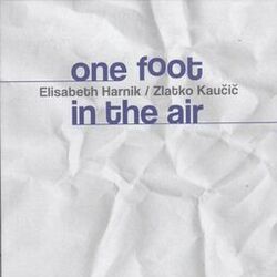 Cover of One Foot in the Air