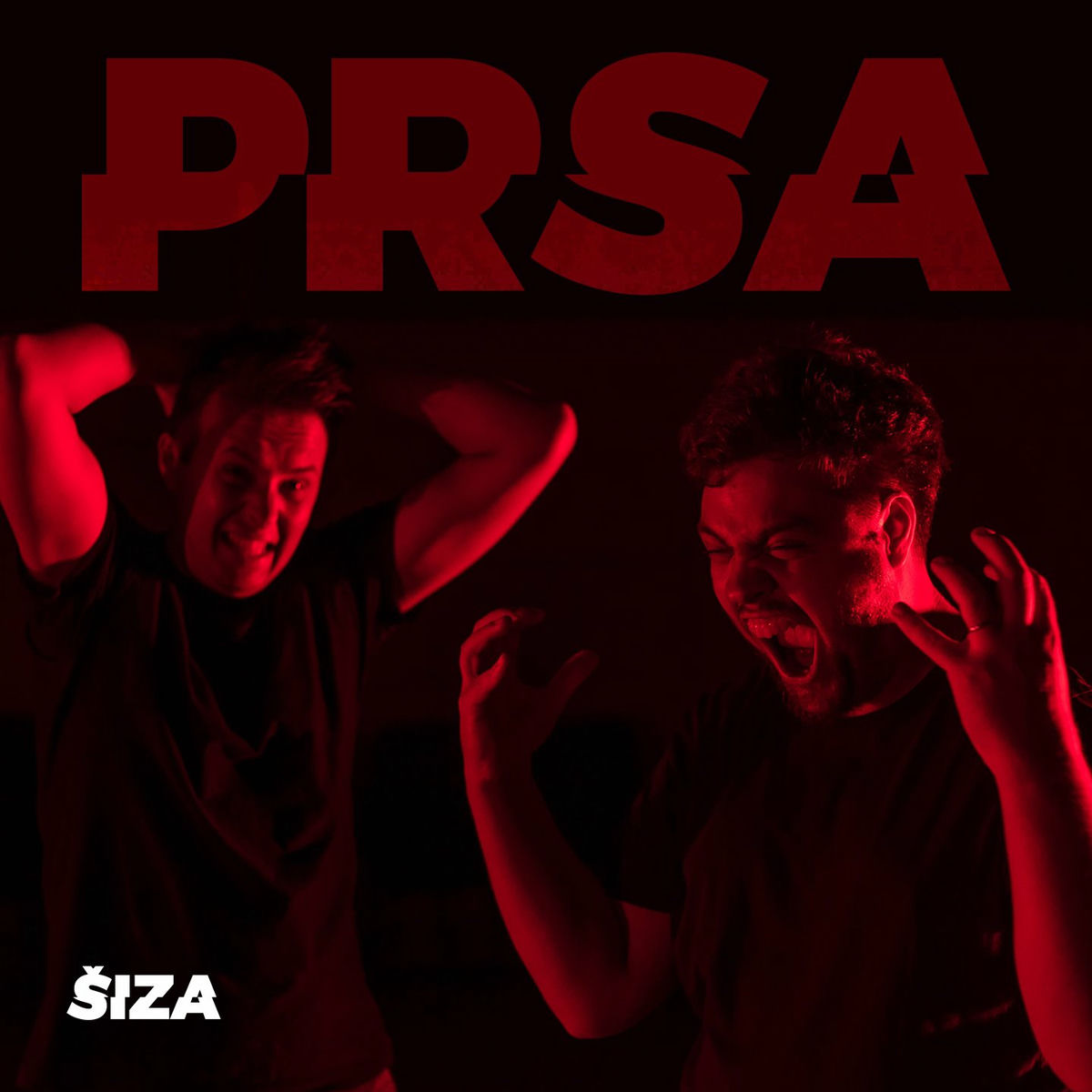 Album cover of Prsa će kosti čuvati