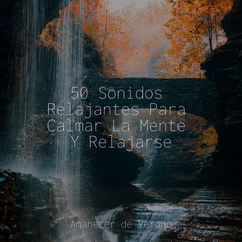 Picture of 50 Sonidos Relajantes Para Calmar La Mente Y Relajarse