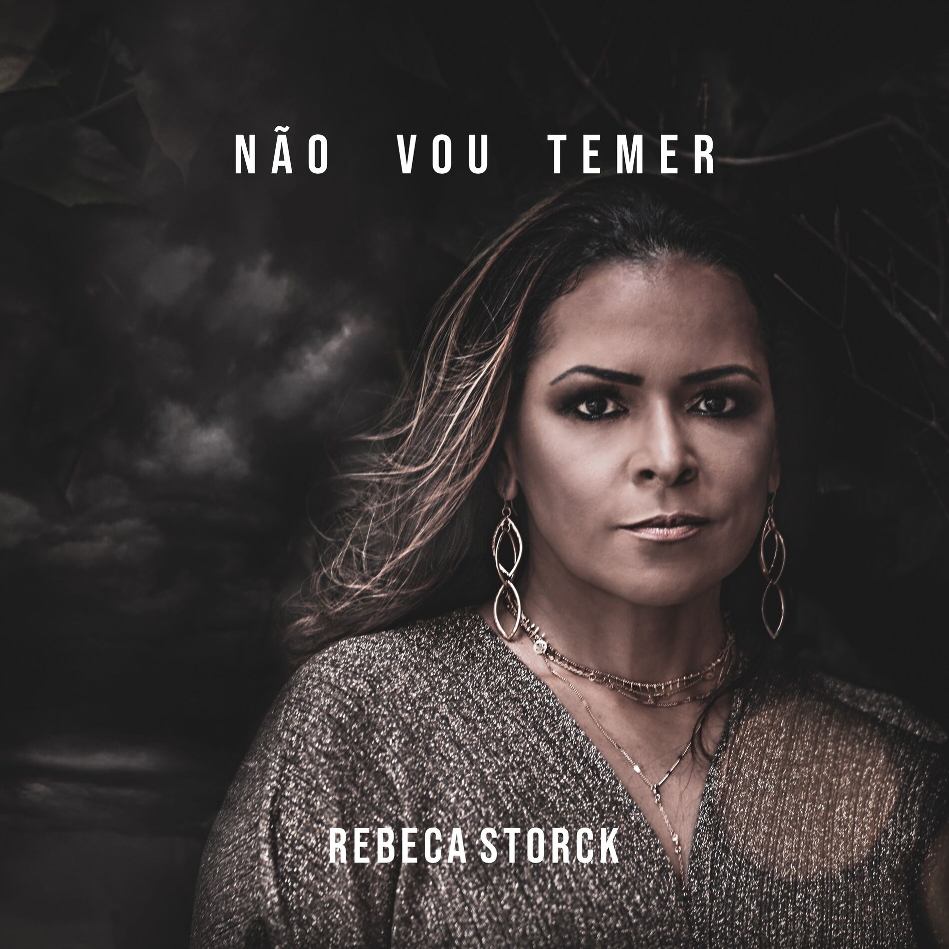 Album cover of Não Vou Temer
