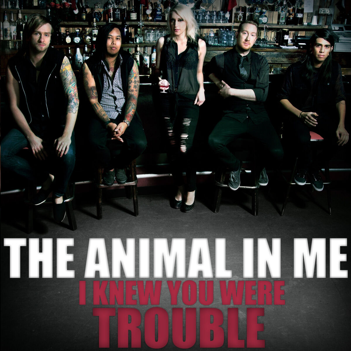Album cover of I Knew You Were Trouble
