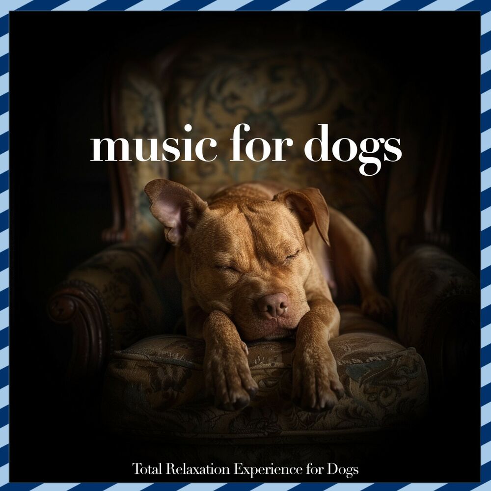 Picture of Music For Dogs: Total Relaxation Experience for Dogs