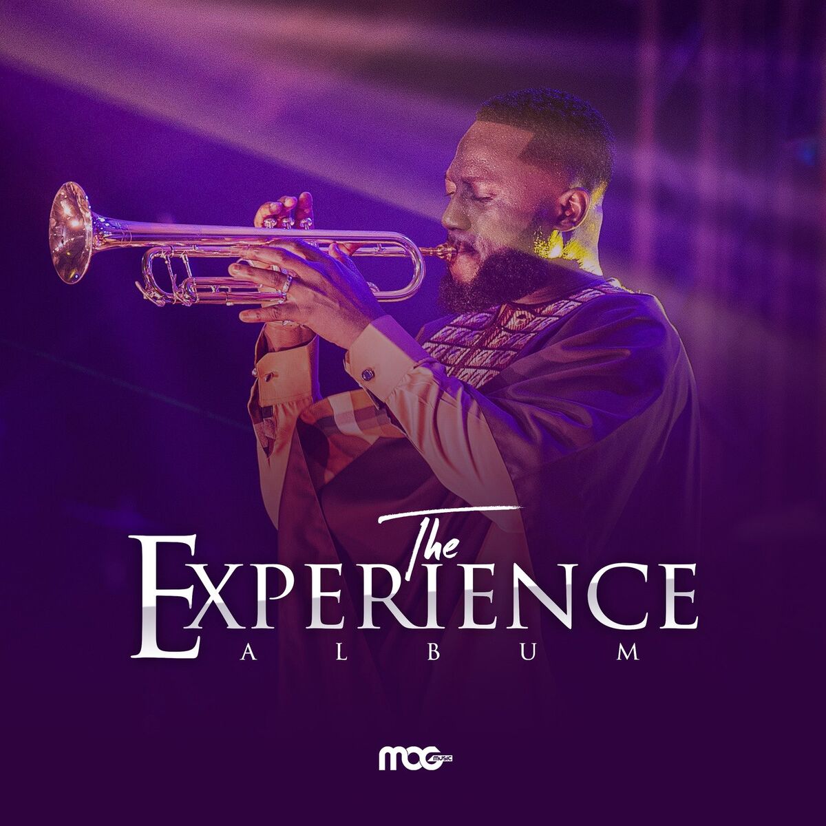 Album cover of The Experience