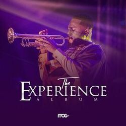 Cover of The Experience