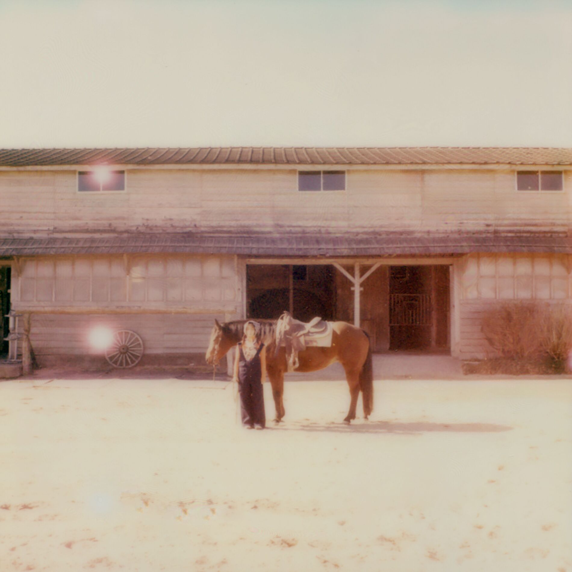 Album cover of 25