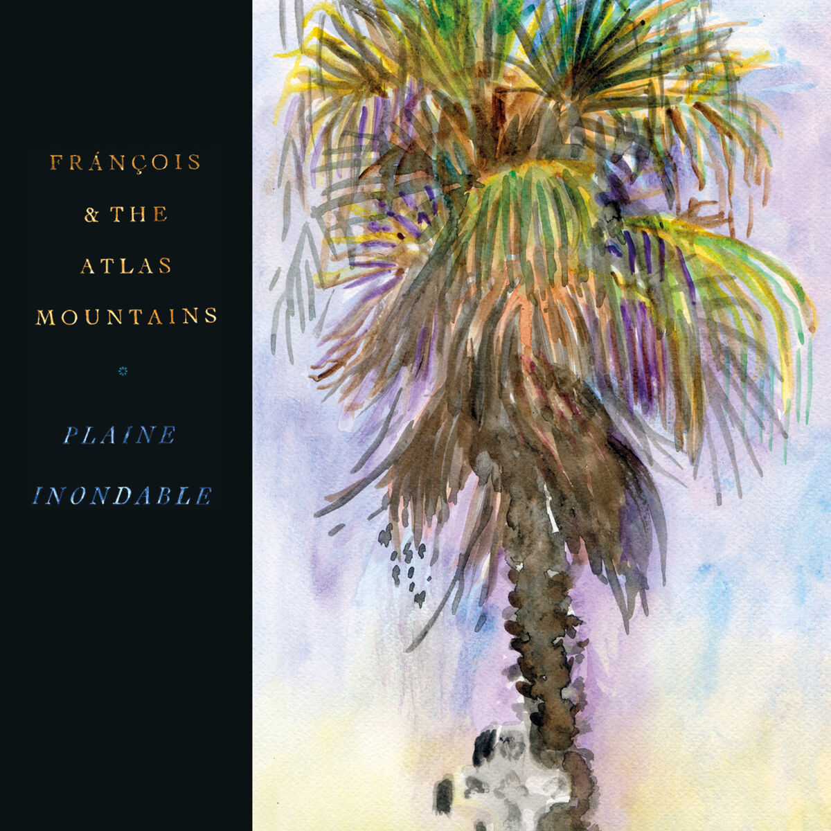 Album cover of Plaine Inondable