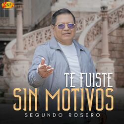 Cover of Te Fuiste Sin Motivos