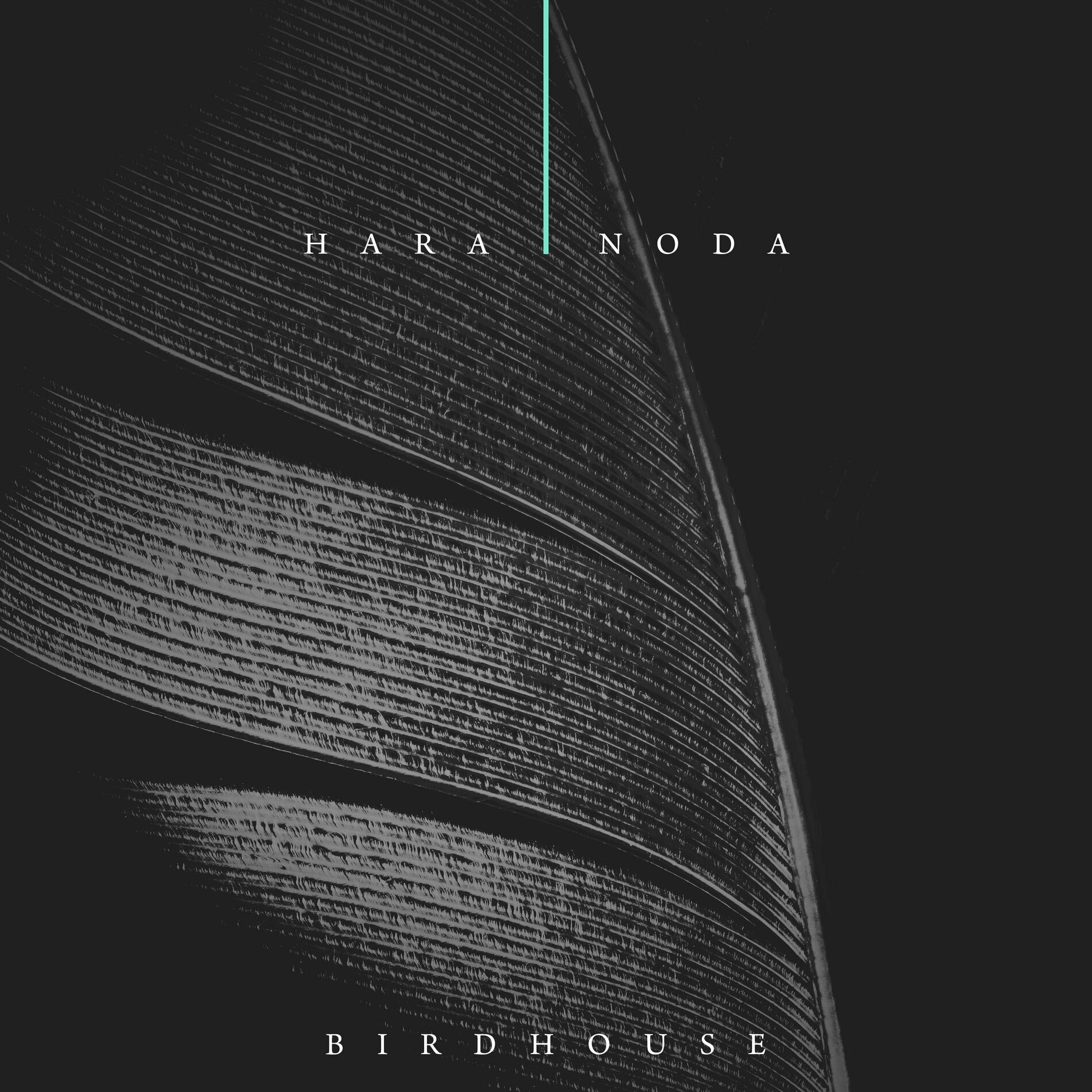Album cover of Birdhouse