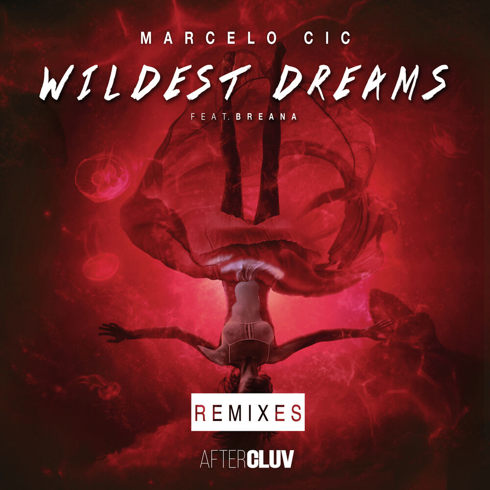 Picture of Wildest Dreams: The Remixes - EP
