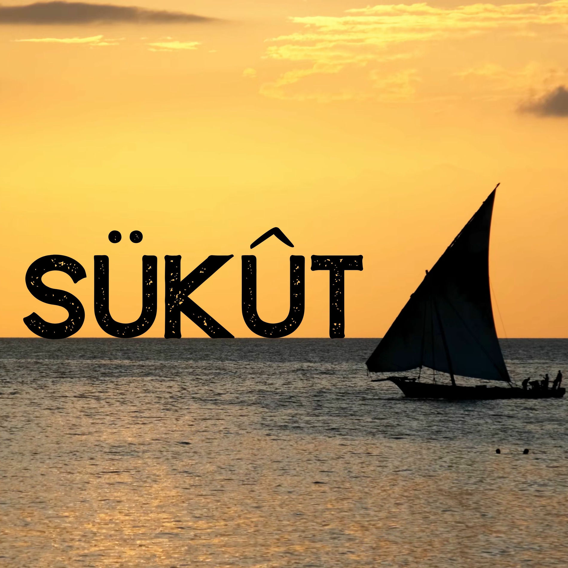 Album cover of Sükût