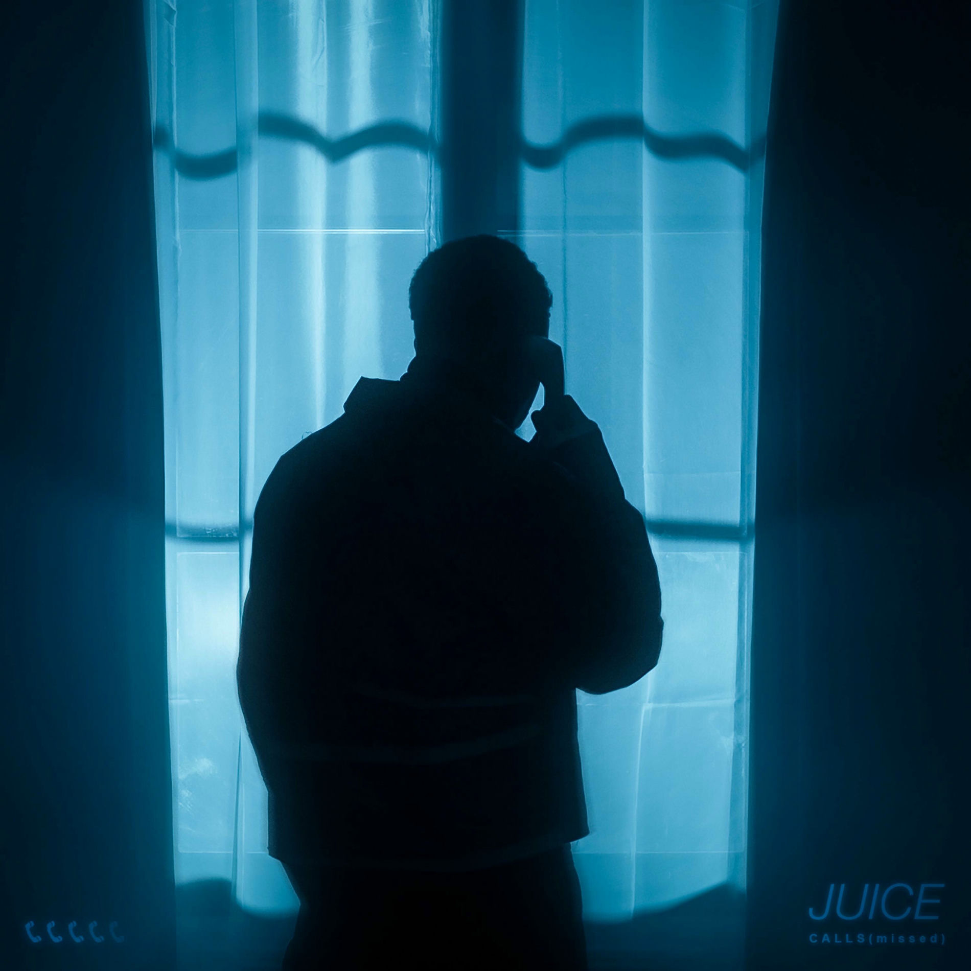Album cover of CALLS (missed)