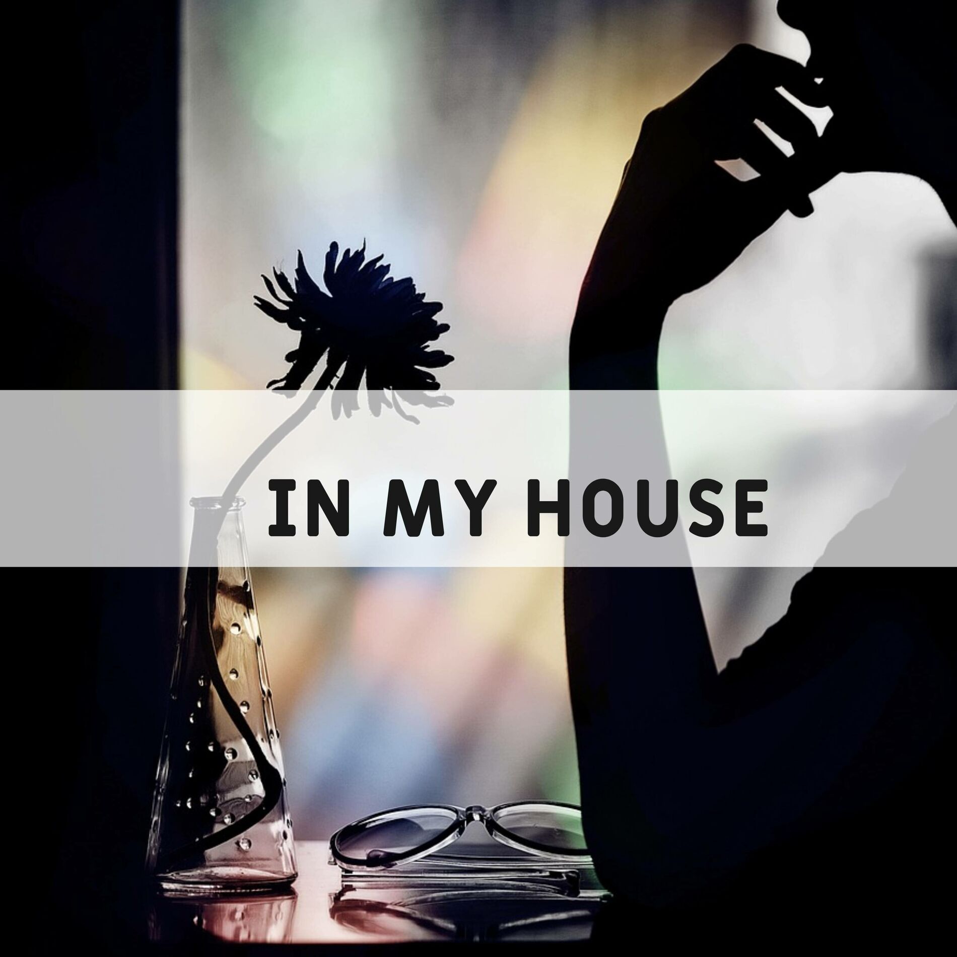 Album cover of In My House