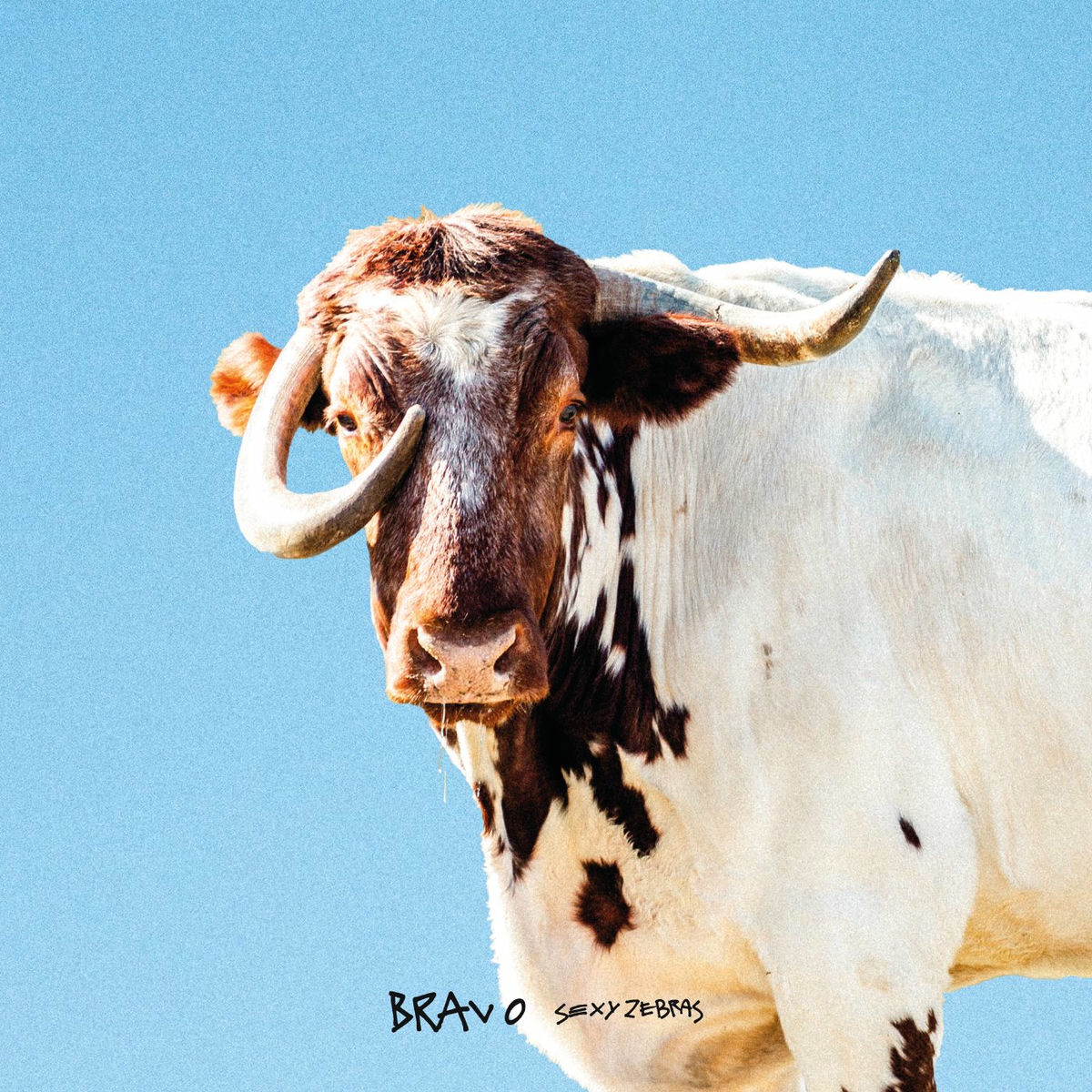 Album cover of Bravo