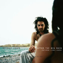 Cover of After The Big Rain