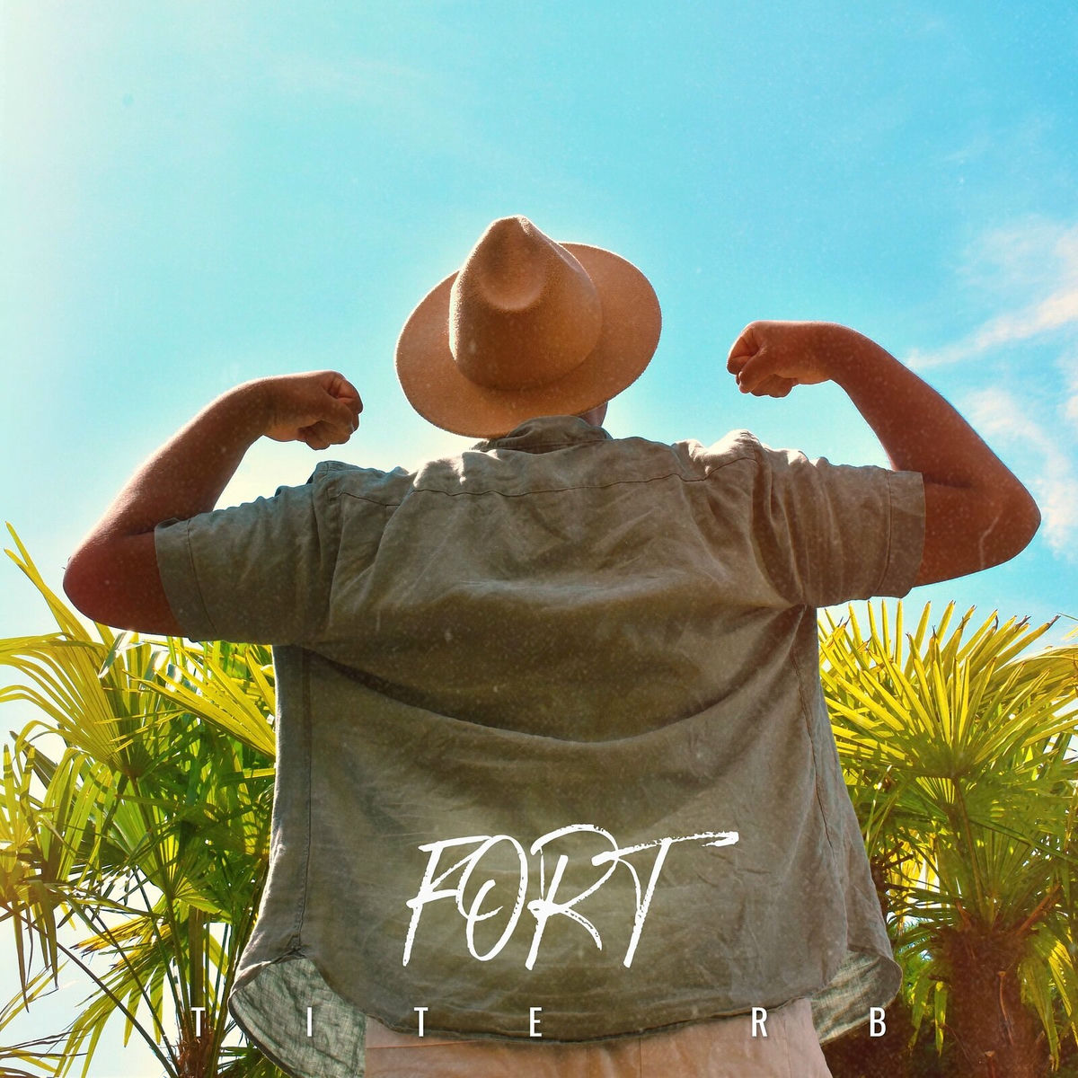 Album cover of FORT