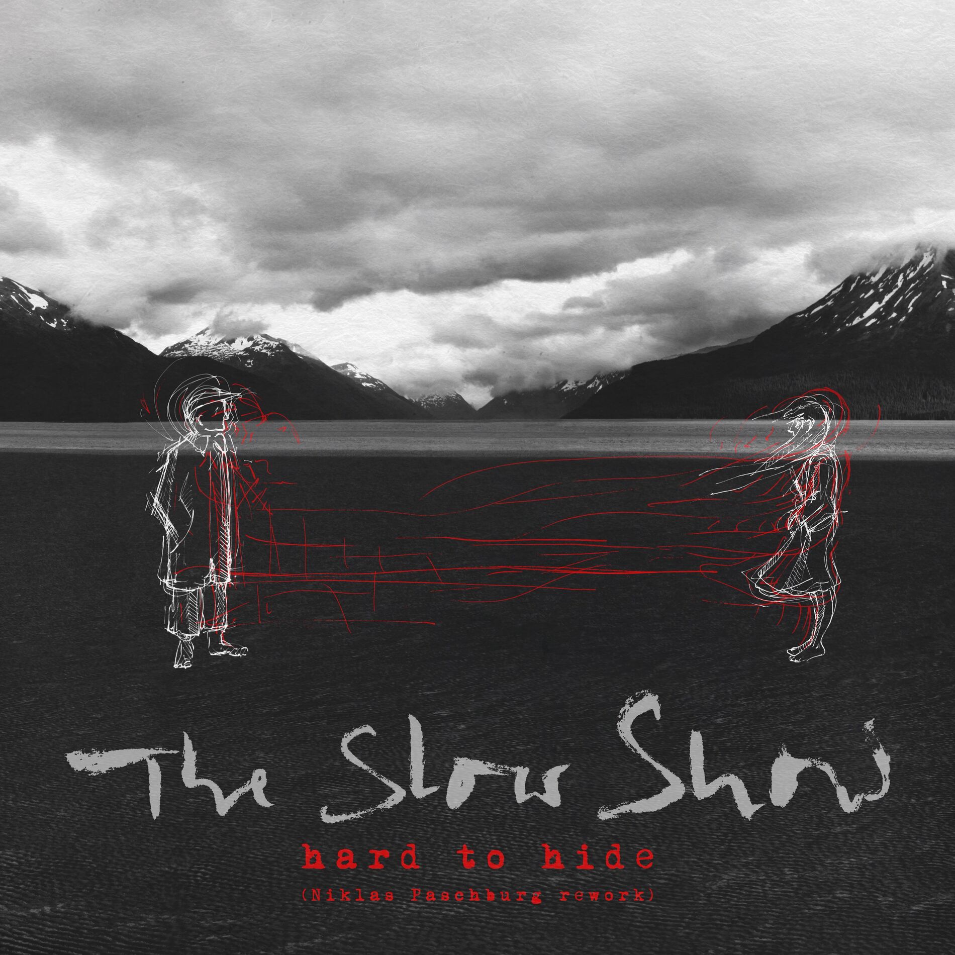 Album cover of Hard to Hide (Niklas Paschburg Rework)