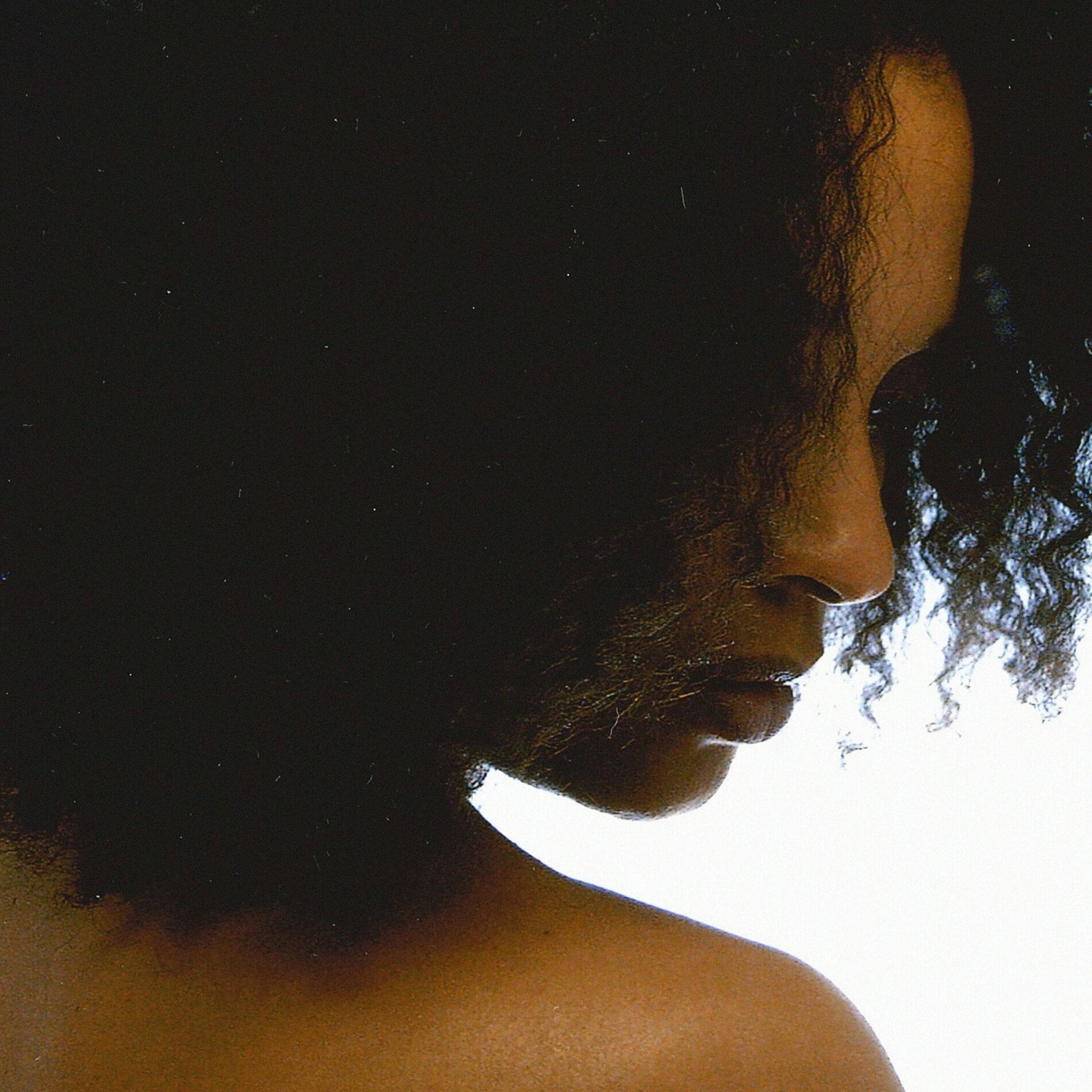 Album cover of Plurielles