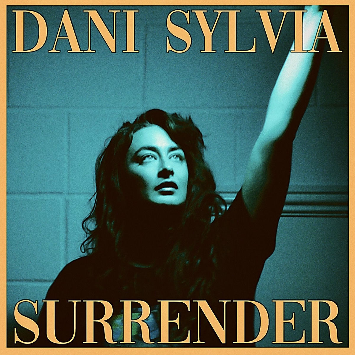 Album cover of Surrender