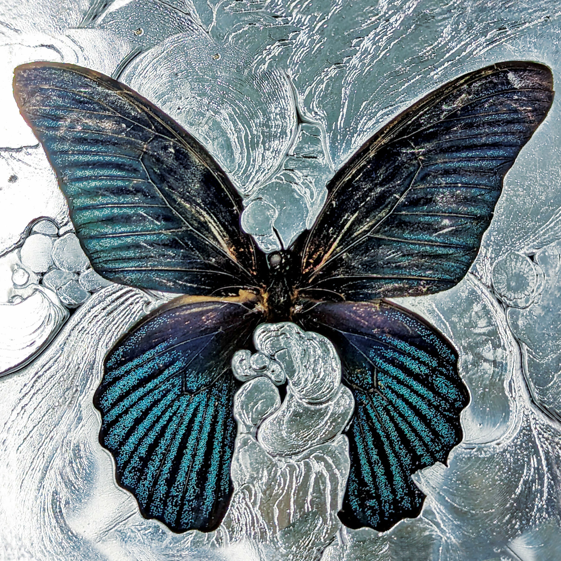 Album cover of Angel - Shygirl x Fatima Al Qadiri