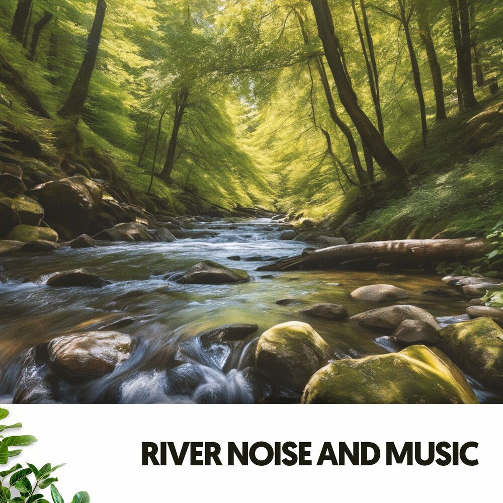 Picture of Rivers & Streams: Melodies of the Flowing Waters
