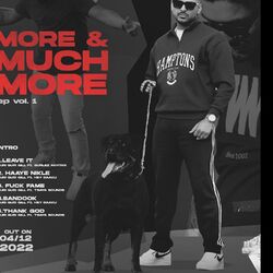 Cover of More & Much More