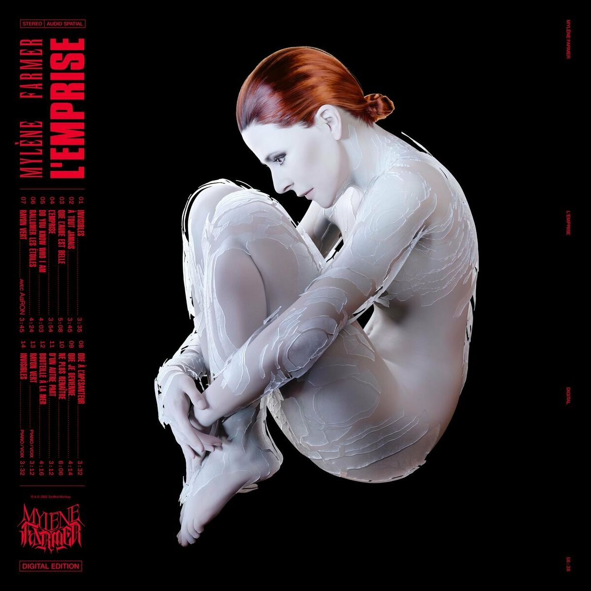 Album cover of Invisibles