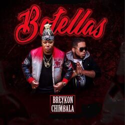 Cover of Botellas