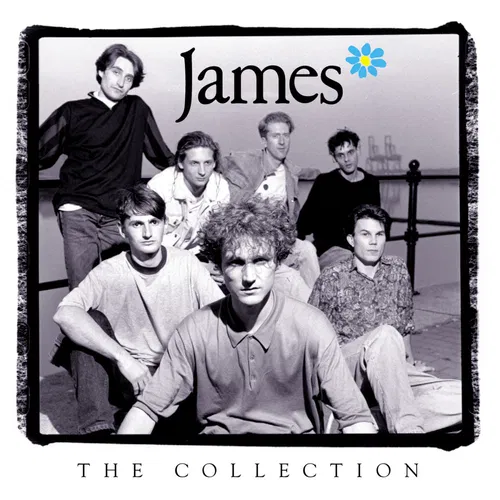The Collection — cover art