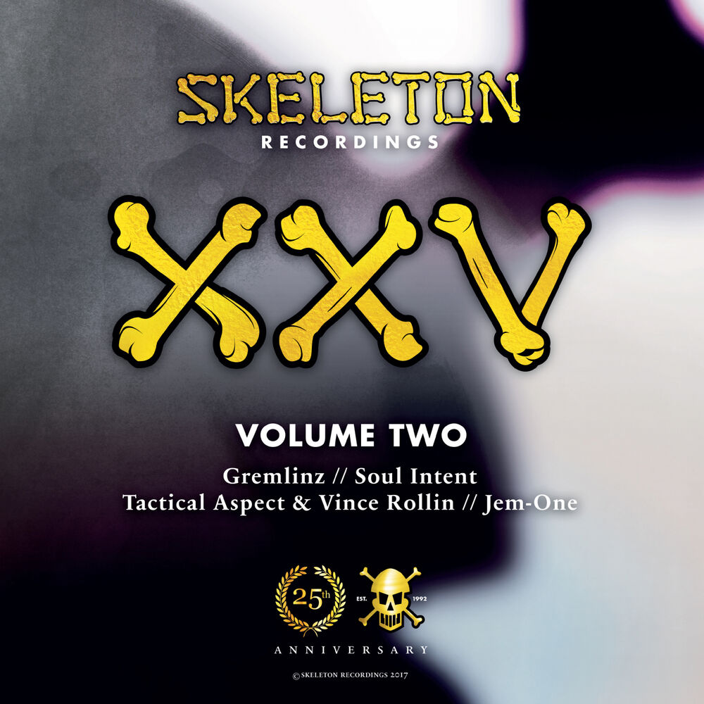 Picture of Skeleton XXV Project Volume Two