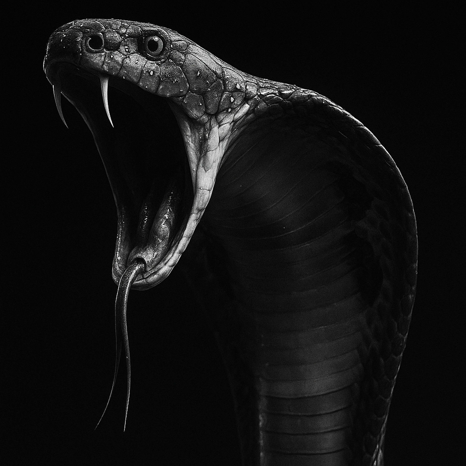 Album cover of Próprio Veneno