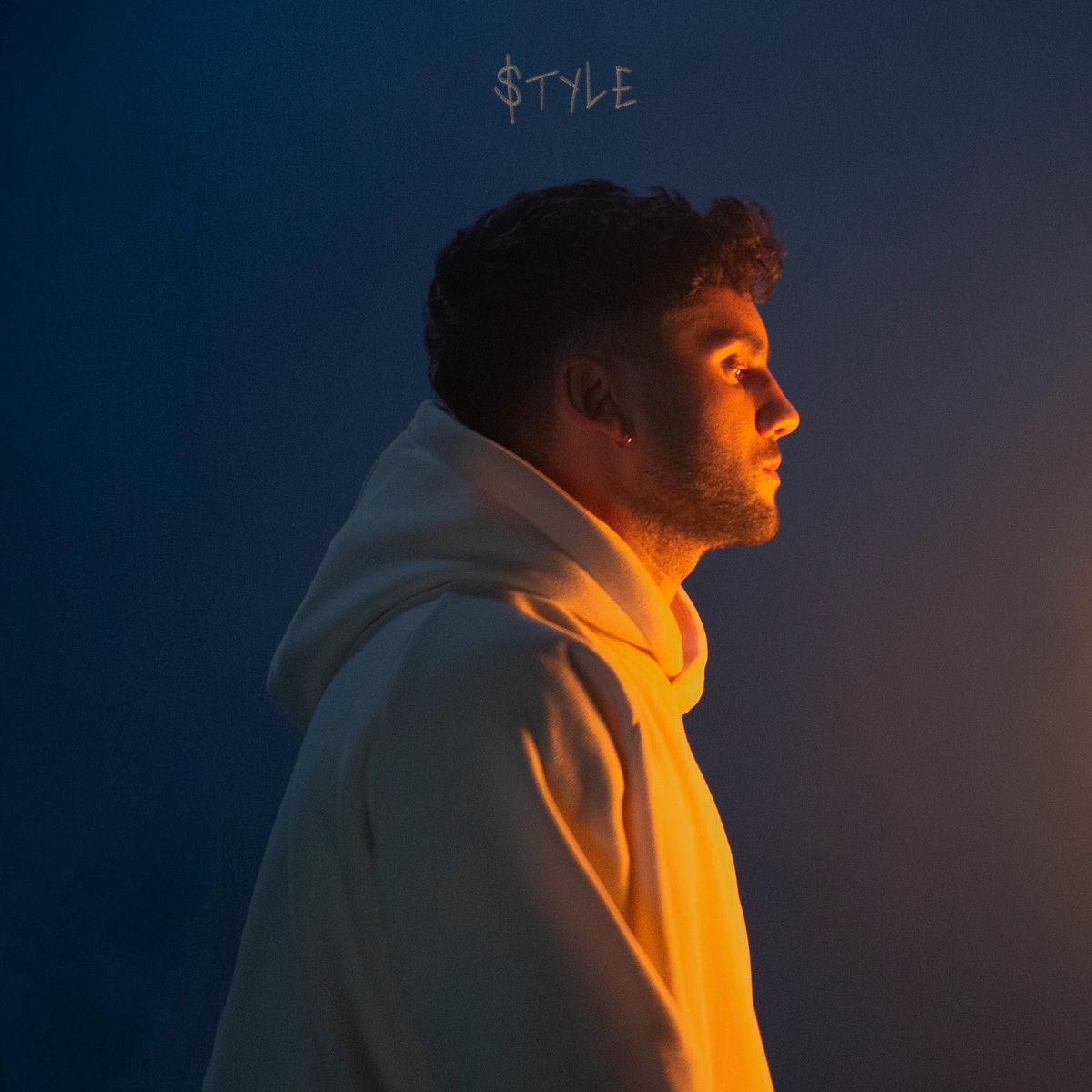 Album cover of Style