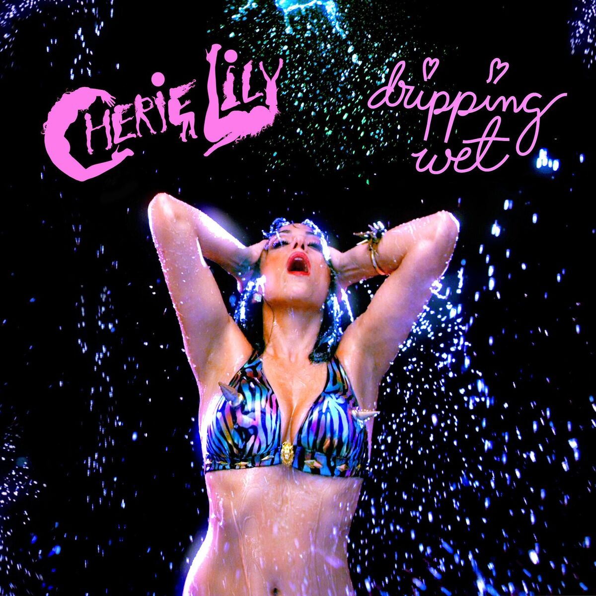 Album cover of Dripping Wet